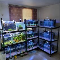 피피랙 3단 어항 선반 축양장 수족관 받침대 다이 철제 제작, 500 x 300 x 1200 [3단], +3장, 화이트