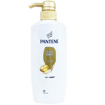 팬틴 프로브이 극손상 케어 샴푸, 500ml, 1개
