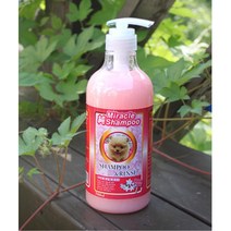 아기강아지용 털엉킴방지용 샴푸린스겸용 단모견 샤워 피모 정전기 애완견, 1개