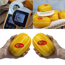 정품 특등급 성주참외_4kg 중 꼬마행님 로얄과 가정용아님 8kg구매시 배송혜택 리뷰추첨, [중과 15-19과] 정품 특등급 4kg