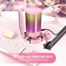 FIFINE-USB 게임용 PC 마이크 팟캐스트 스트리밍 AmpliGame RGB 컴퓨터 콘덴서 스튜디오/비디오 용 데스크, 한개옵션0