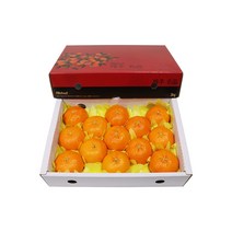 농장직송 고당도 레드향 3kg 5kg 10kg, 1박스, 레드향 3kg 특대(11~13과)
