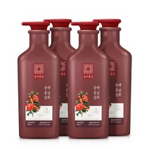 동의홍삼 동백홍삼 샴푸, 4개, 500ml