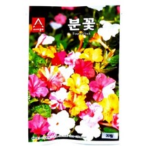 아시아종묘 꽃씨앗종자 상록패랭이 (kg), 단품없음