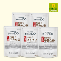농협식품 농협 아름찬 명품천일염 구운소금 1kg, 5개