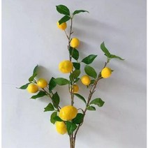 이케아조화 꽃 장식 다이소 미니조화화분 레몬트리, 1개