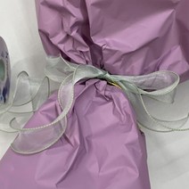펄 오간디 리본 포장 실 리본끈 청첩장 트리 크리스마스 끈 선물 줄 민트 띠지 글리터 수입 꽃집 공예 선물용 생일 포장용 명절 칼라 타이 장식