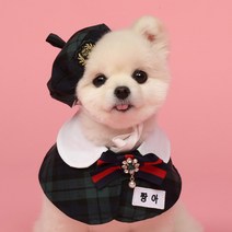 모모스페이스 교복 케이프 넥카라 강아지 스카프 고양이 유치원 애견 악세서리 대형견 소형 XS 7XL, 그린