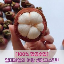 프루틴 생 망고스틴 태국 항공수입 로얄과, 5kg 로얄과 (40-80과) 1박스