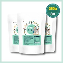 프로틴 프로 온가족 단백질 영양제 어린이 노인 30대 40대 50대 시니어 마시는 음료, 3팩