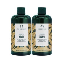 더바디샵 진저샴푸 40Oml 2개입세트, 400ml, 2개