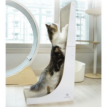 네네린도 고양이 수직 월 스크래쳐, 웜 화이트, 1개