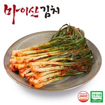 한국농협김치파김치 신상품