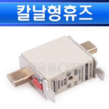 부스만 NH퓨즈 40NHG000B 500V 40A, 1개
