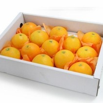 제주 황금향 선물세트, 제주황금향선물세트-15과이내3kg