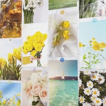 예쁜엽서 다꾸엽서 촬영소품