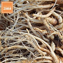 고씨네 약도라지2kg 도라지 생도라지 야산재배도라지, 1, 본상품선택