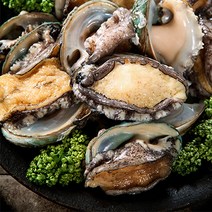 [완도산지직송] 완도 활전복 1kg (10-11미)