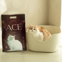 먼지없는 친환경 고양이 모래 탈취효과 응고력 벤토나이트 무향 6kg X 3개입