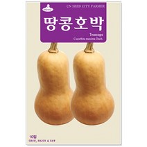 [토단] 땅콩호박 씨앗 10립