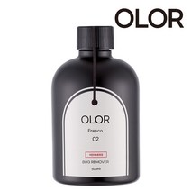 현대모비스 오로르 버그리무버 프레스코 500ml 세차용품 세정제