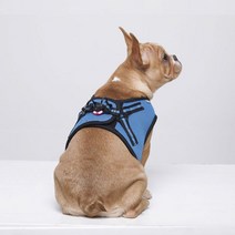 리얼펫 항균 레드라이트 조끼 야간 산책용 불빛 LED 강아지 하네스, BLUE