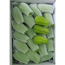 아라리의 고장 정선 자연이 키운 햇 차요테 5Kg, 1개