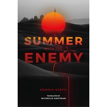 Summer with the Enemy Paperback, Interlink Books, English, 9781623718671