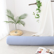 찬미디자인 알러지케어 바이오 워싱 캔디쿠션 커버+솜, 블루