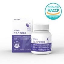 자연해답 차즈기 빌베리, 4박스 (120정) - 9%추가할인, 4개