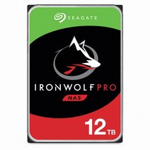씨게이트 서버용 아이언울프 프로 3.5 HDD, 12TB, ST12000NE0008
