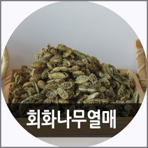 SC1 회화나무열매 추출물 300g