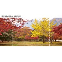 Bj그림벽지 고급 실크벽지 AT603534 가을 자연풍경 뮤럴벽지 고품질의 친환경 벽화벽지 원하는 이미지 (내사진) 제작 가능, 고급 실크벽지 : 5폭 (500cm x 230cm)