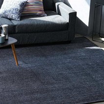 바이빔 사계절 브리제 카페트