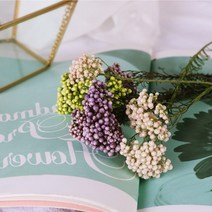 라이스플라워 프리저브드 도매, 11_그린그레이
