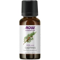 NOW Essential Oils Cypress Oil 나우 푸드 사이프레스 에센셜 오일 30ml, 1팩