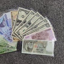 지폐홀더 100장 동전 앨범 지폐보관팩 수집용품P7.7eA, 본상품선택