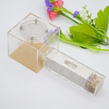 개미 사육 둥지 아크릴 농장 석고 노란색 곤충 용품, 01 White