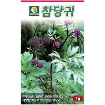 취나물 5g - 씨 씨앗 취 취나물씨앗 취나물씨 나물씨 나물씨앗 민속채소 채소씨 채소씨앗 민속씨앗 참취 곰취 수리취, 30_다농_참당귀(1g)