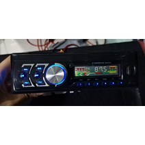 1224V 모리모토 내부 수납 전화 차량용MP3플레이어, C01-공식모델, T04-숲 뉴타입 24V대출력 블루투스