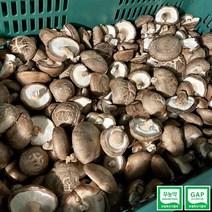 GAP인증 무농약인증 표고버섯, 특품 1kg