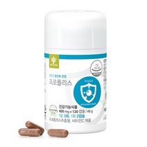 엔트리 엔트리 프로폴리스(20일분) 120캡슐 플라보노이드 섭취량 일일최대치 항산화작용 중금속 배출, 20일분 3개 360정