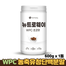뉴트로웨이 WPC 농축유청 단백질 분말 BCAA 류신 로이신 근육 필수 아미노산 단백분말, 1통, 초코맛 600g