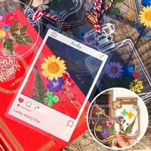 누름꽃 압화 투명 책갈피 만들기 - D세트