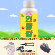 코리아아그로 자연비 인황칼 500ml 인산칼슘황 구아노 엽면시비 유황 식물영양제 나노입자