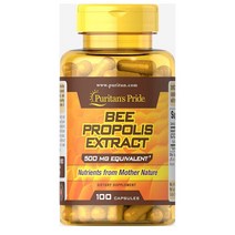퓨리탄프라이드 비 프로폴리스 추출물 500mg 100정 Puritans Pride Bee Propolis, 1개, 기본