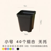 베스트 셀러 팔각형 두꺼운 작은 흰색 사각형 즙이 많은 꽃 냄비 여분의 두꺼운, 40 검정색 두꺼운 작은 사_플라스틱_친환경 플라스틱