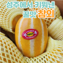 성주참외 제철 달달 못난이 참외 정품 1.5kg, 프리미엄 정품, 소과(5-6과)