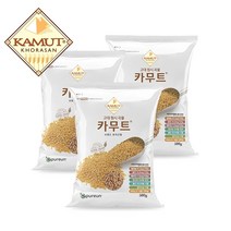 카무트 고대곡물 이집트 호라산밀, 3개, 500g