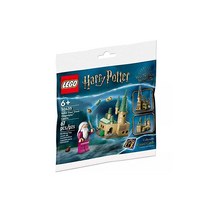 레고 LEGO 해리포터 호그와트성 미니세트 30435